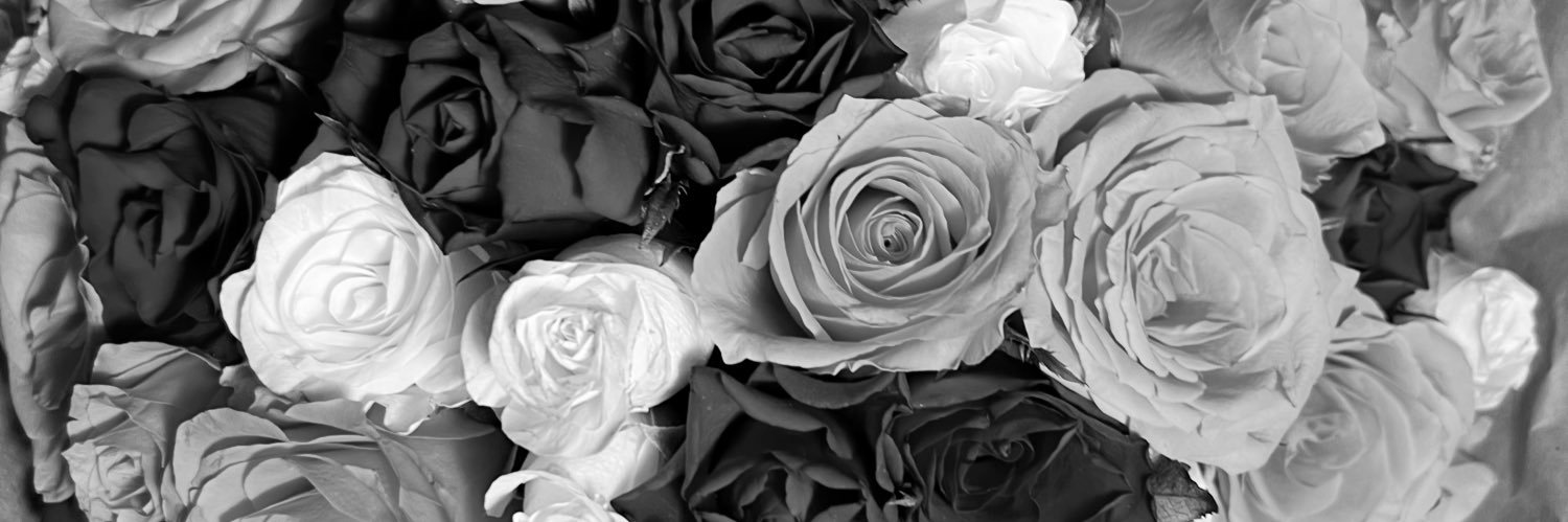 LauraRamirez97's profile banner image