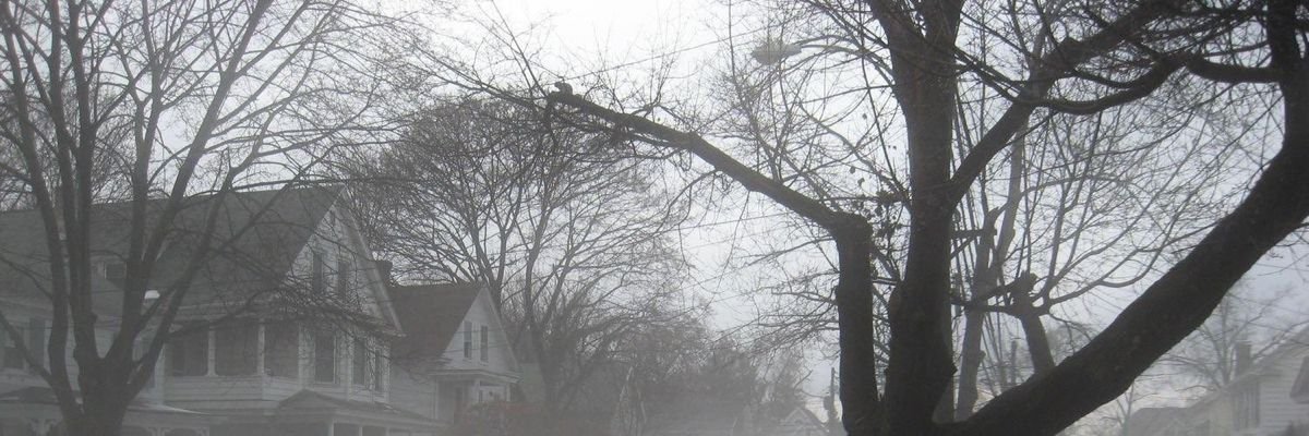 t's banner