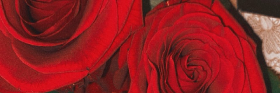 🩷 banner