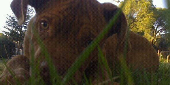 meneses_5's profile banner image
