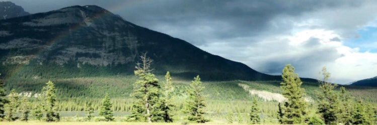 sillybenny's profile banner image