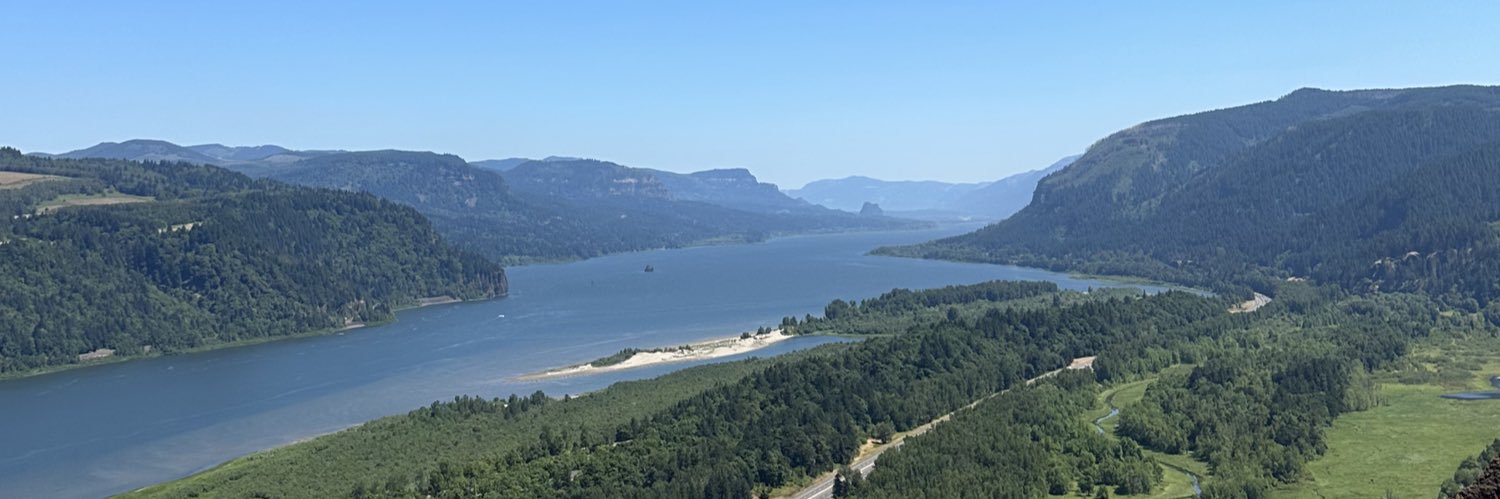 Timothy Icardi banner