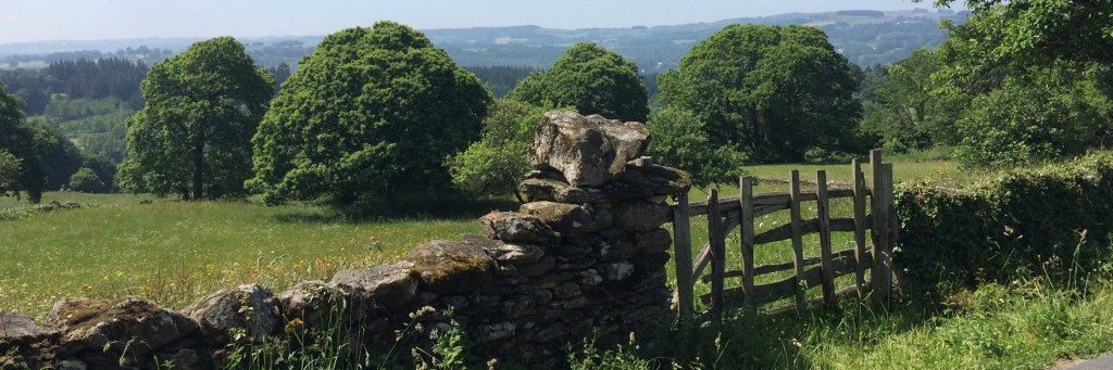 Sharon Franta banner