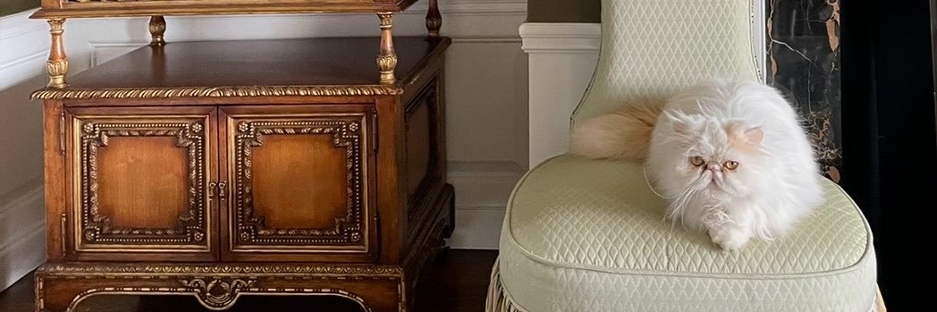 Christina_ma4's profile banner image