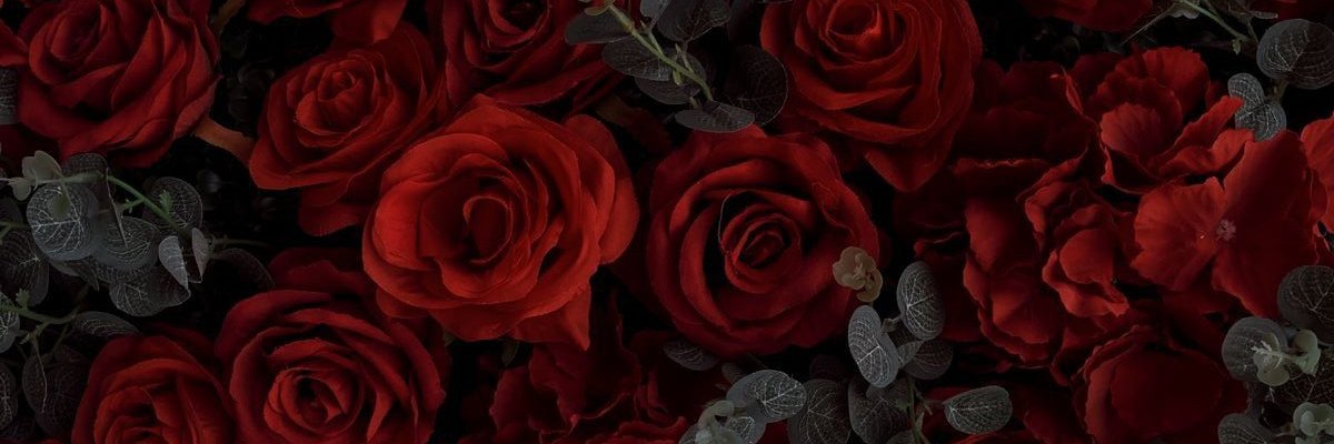 Drevanox_'s profile banner image