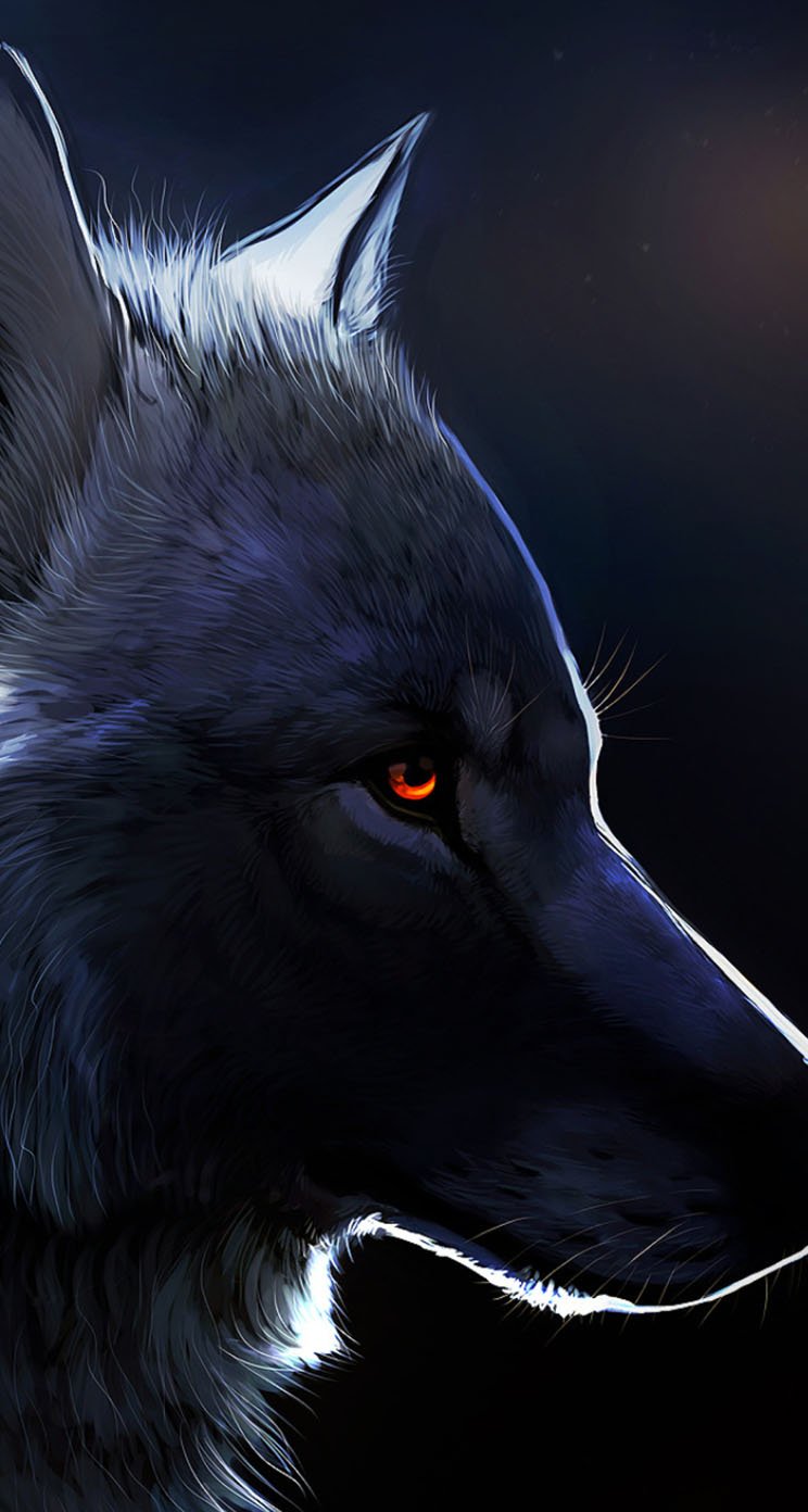 barberbaas's profile banner image