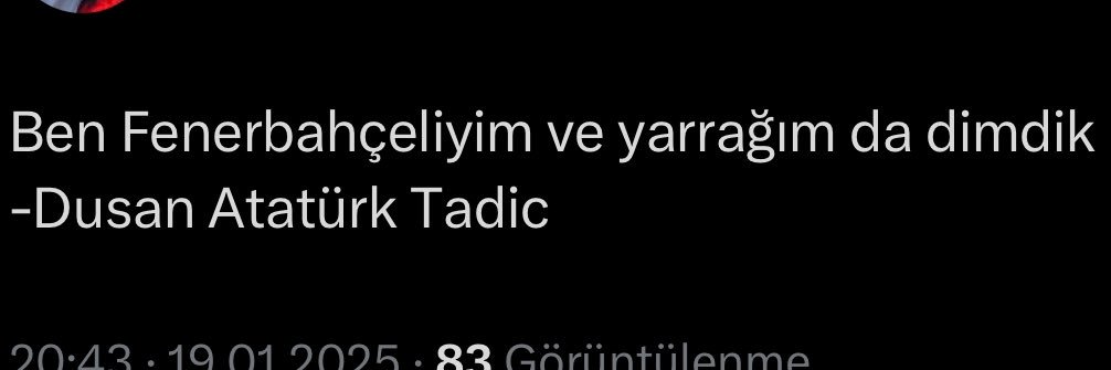 polatt banner