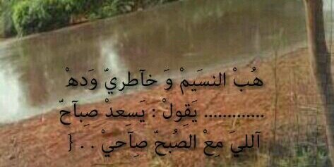 BANDAR65923453's profile banner image
