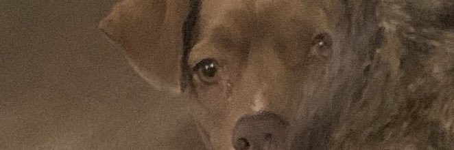 Tabitha, Lady of Leven, Melville-Leslie banner