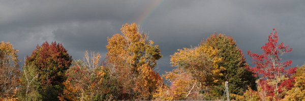 Hapi_Charli Profile Banner