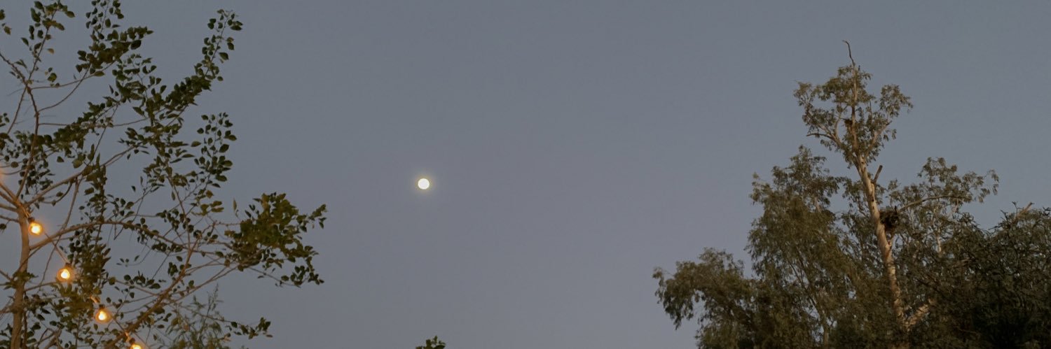 𝖱𝗎𝖿𝖾𝗋☽ banner