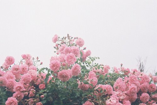 Aneterr's profile banner image