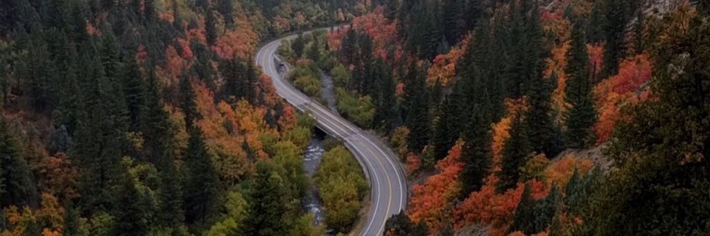 shayleejaned's profile banner image