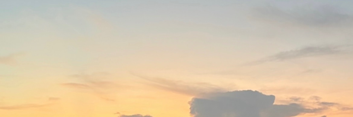 ℛℯ𝓃𝒶 banner
