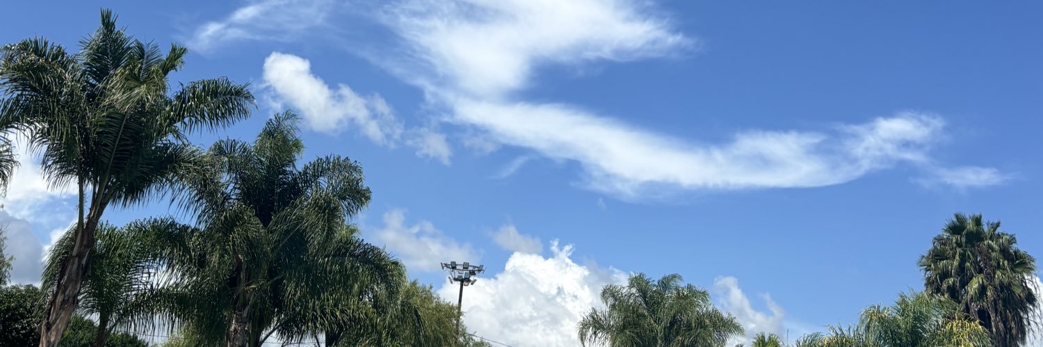 renibape's profile banner image