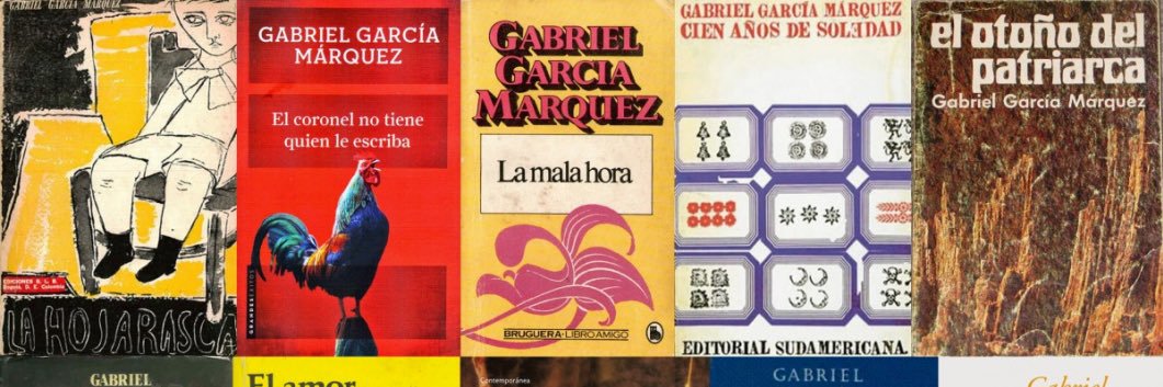 Arianna Mascherin banner