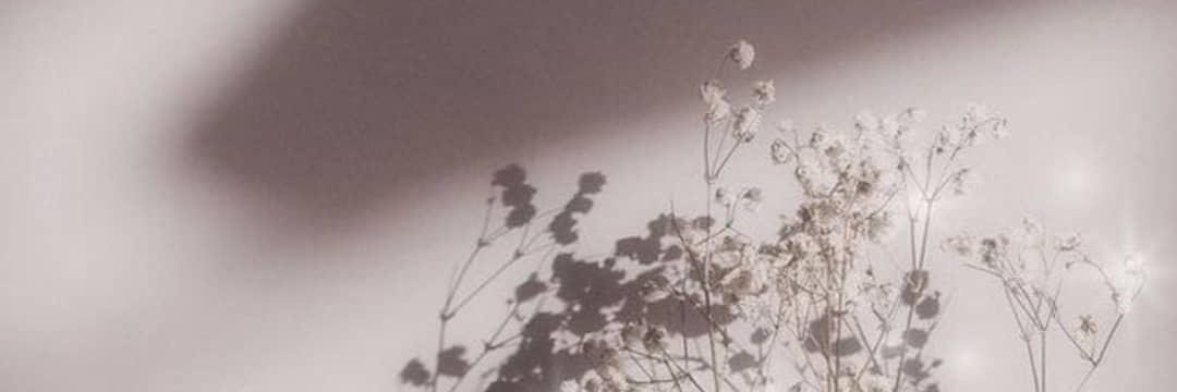 006mariee's profile banner image