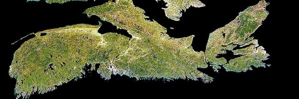 GANSorg Profile Banner