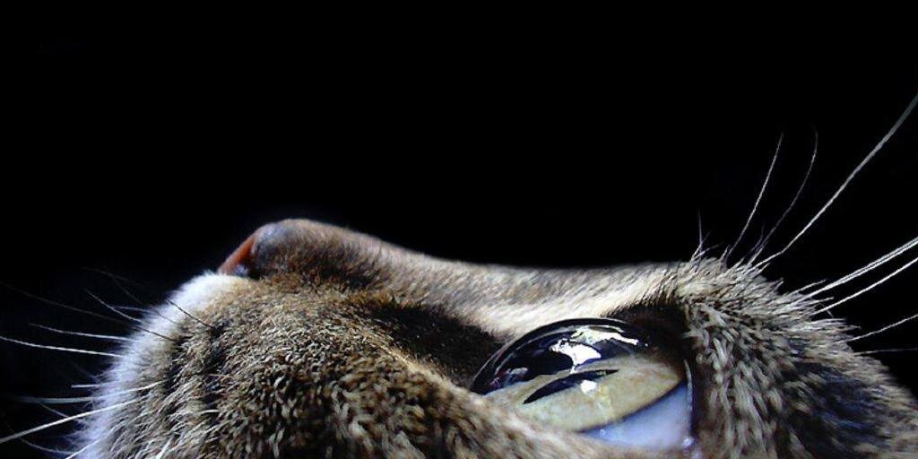 KnivesDrewL's profile banner image