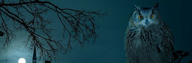MikeCfromTulsa's profile banner image