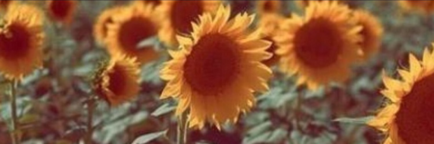 norassic_park's profile banner image