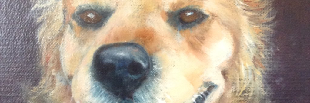 SkiltonDavid's profile banner image