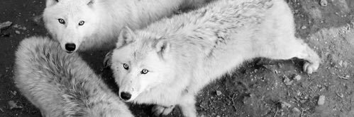 kenia081998's profile banner image