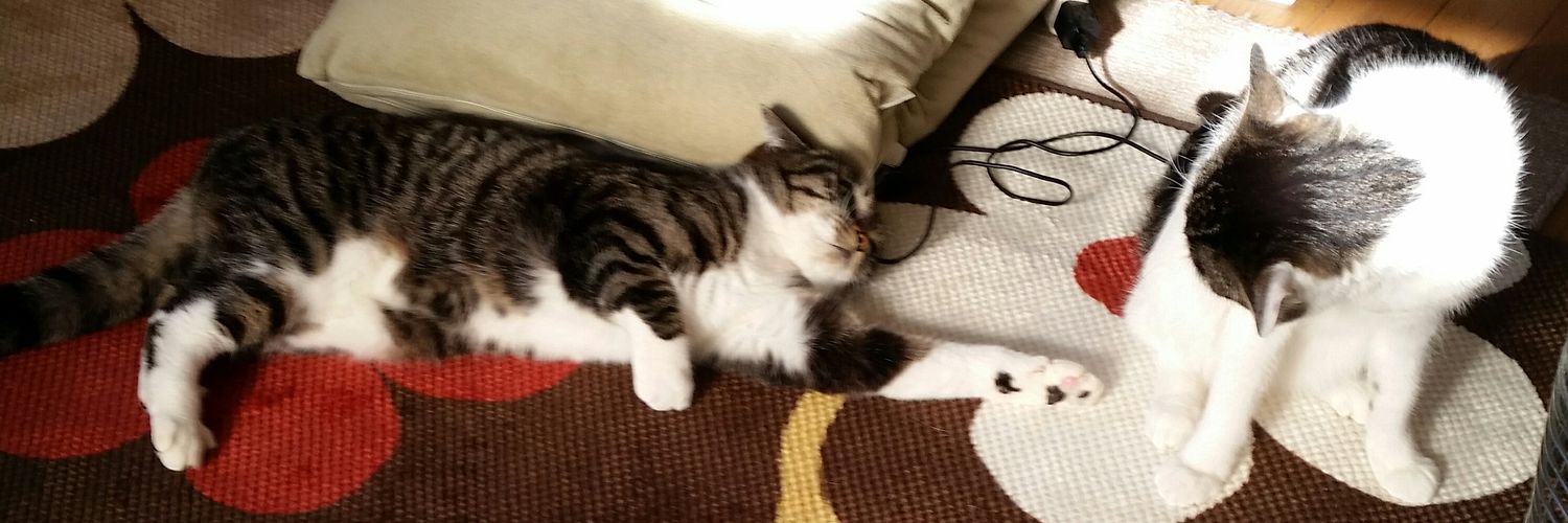 meary_hiro's profile banner image