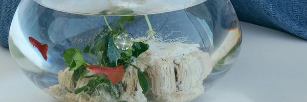 Nearby_shb Profile Banner