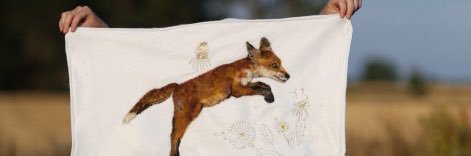 wildfelter's profile banner image