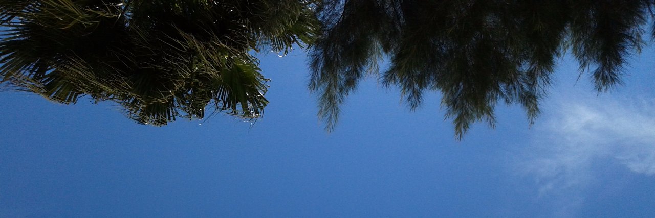 claaramso's profile banner image
