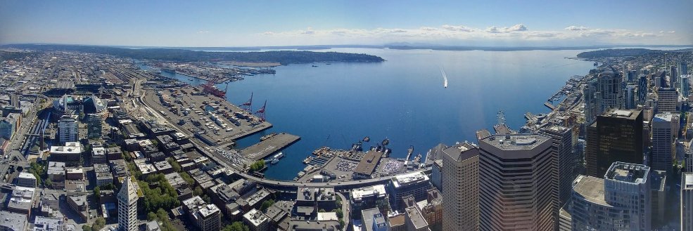 Johnny Fiasco banner