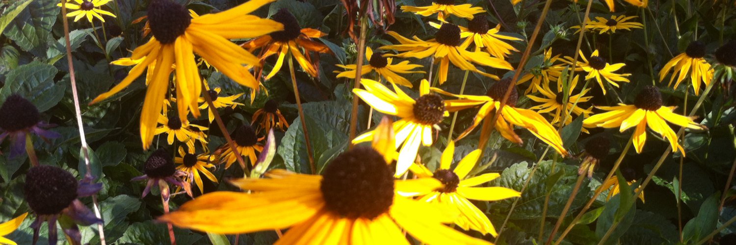 sarahilditch1's profile banner image