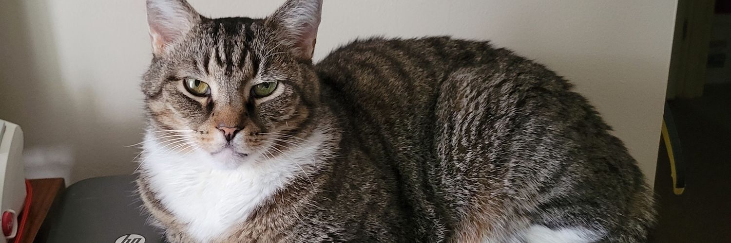 yowyowsow's profile banner image