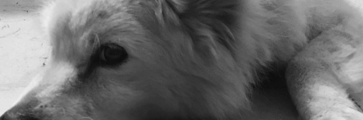 AureaRdz's profile banner image