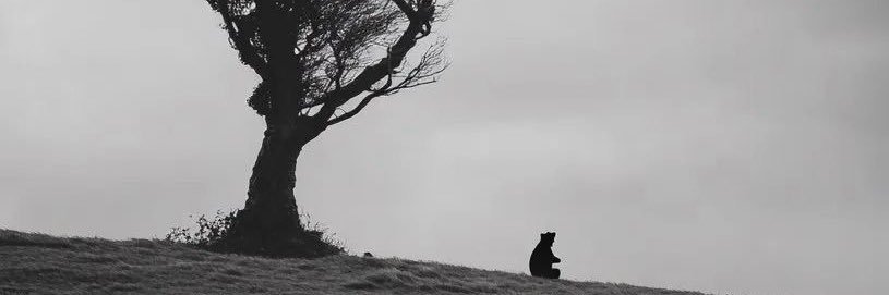 JayDaGRT_'s profile banner image