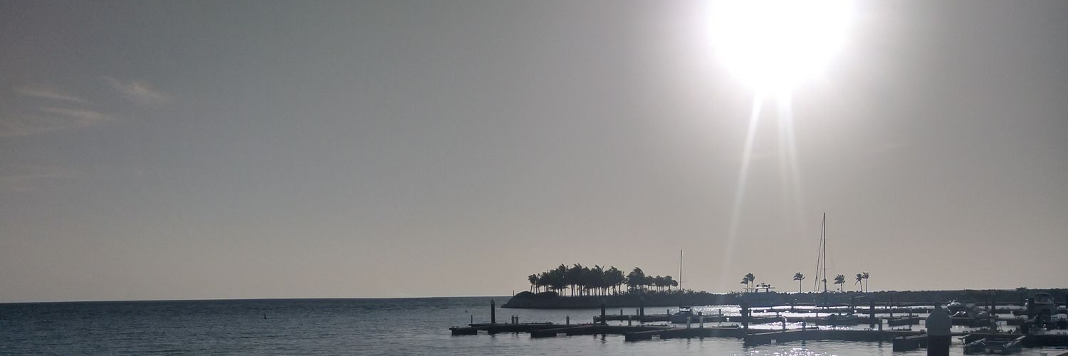 pablosonda's profile banner image