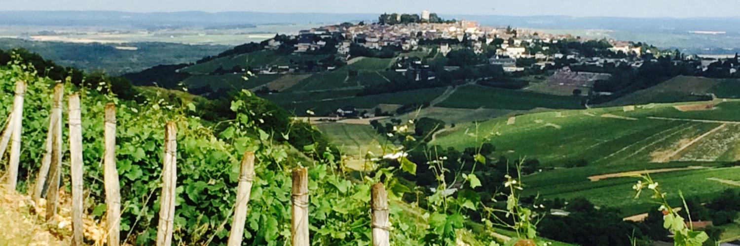 Charles Corso banner