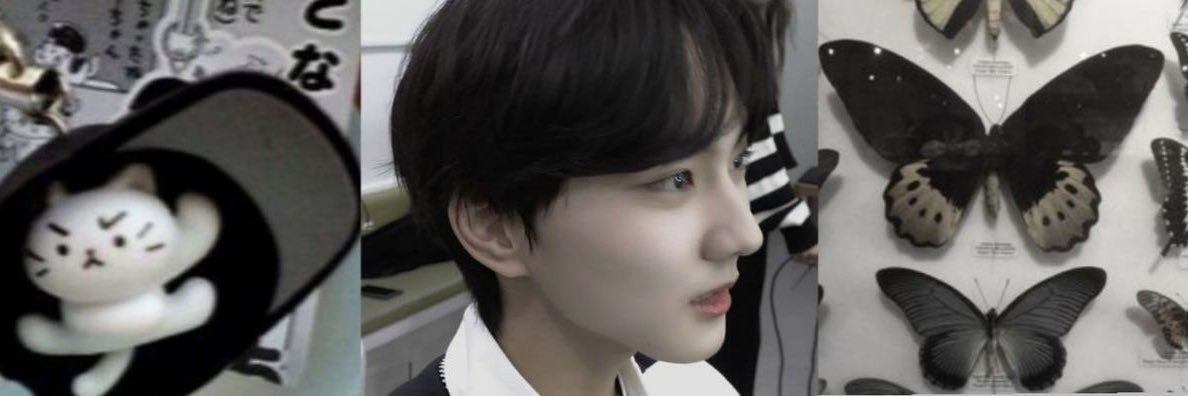 _nyan_jw's profile banner image