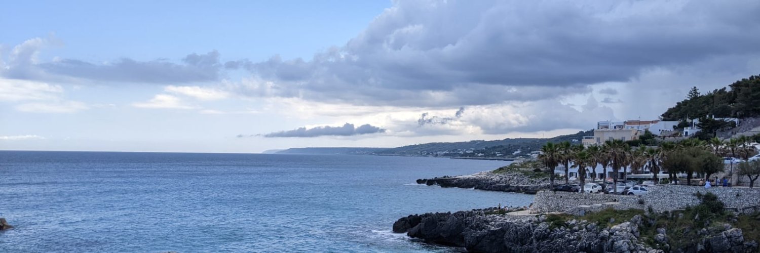 Leonhard Schmidt banner