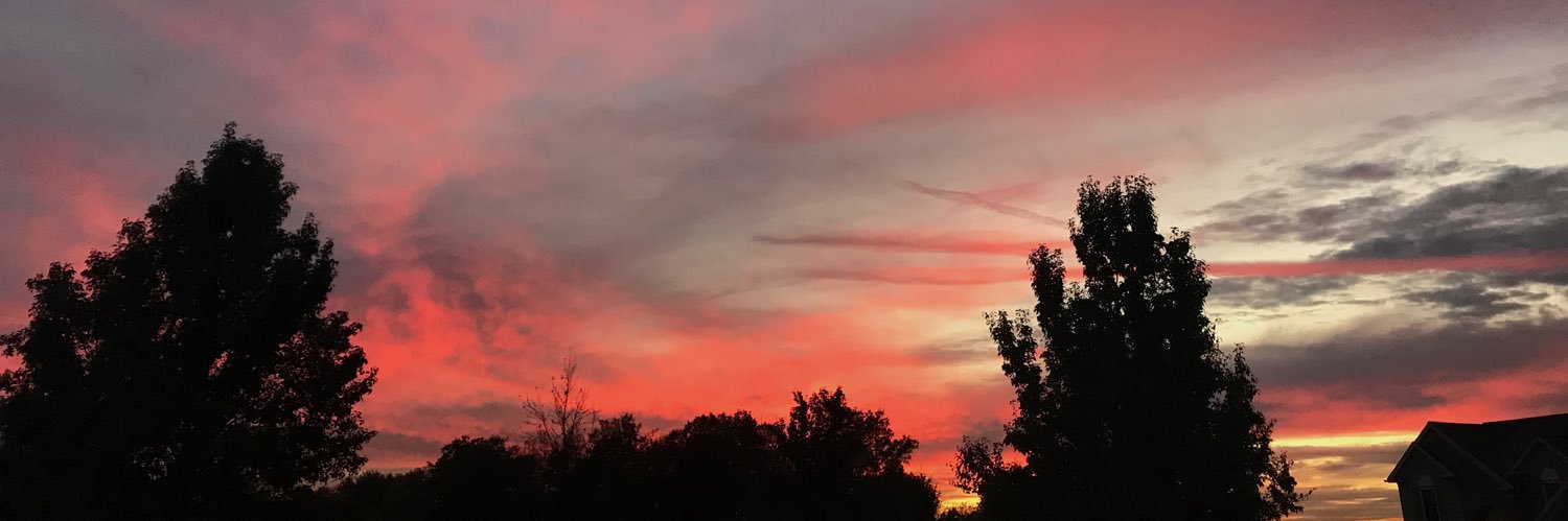maddywells7's profile banner image