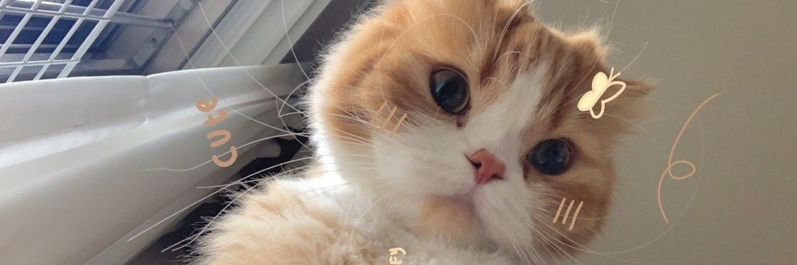 ♡baju☆album¤photocard☆novel♡ banner