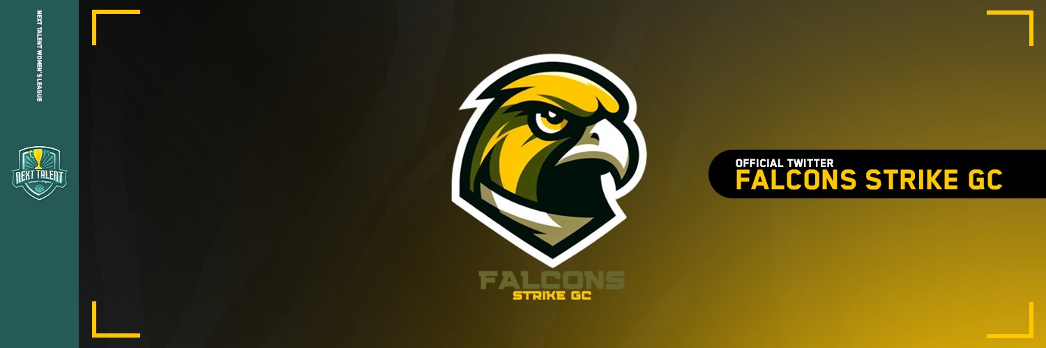 FalconsStrike's profile banner image