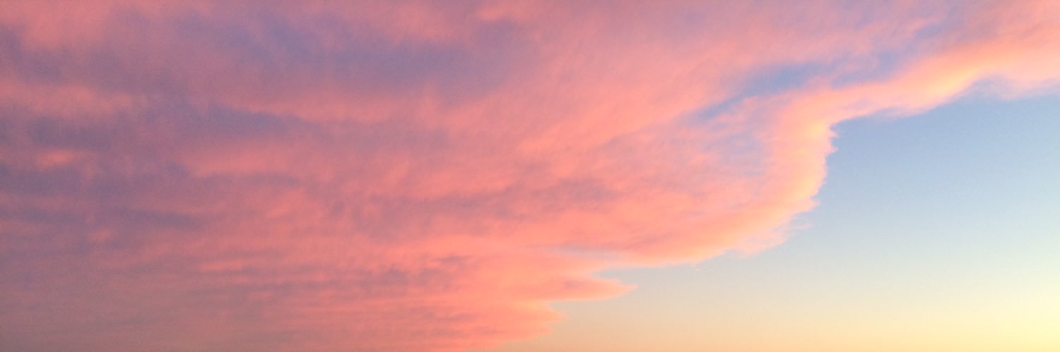 _sandrabruno's profile banner image