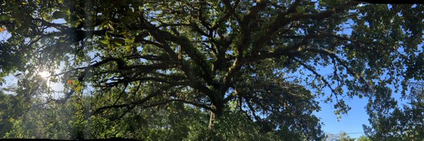 Ecomont_Lara Profile Banner