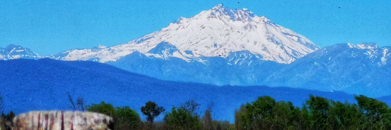 PHernandezGon's profile banner image