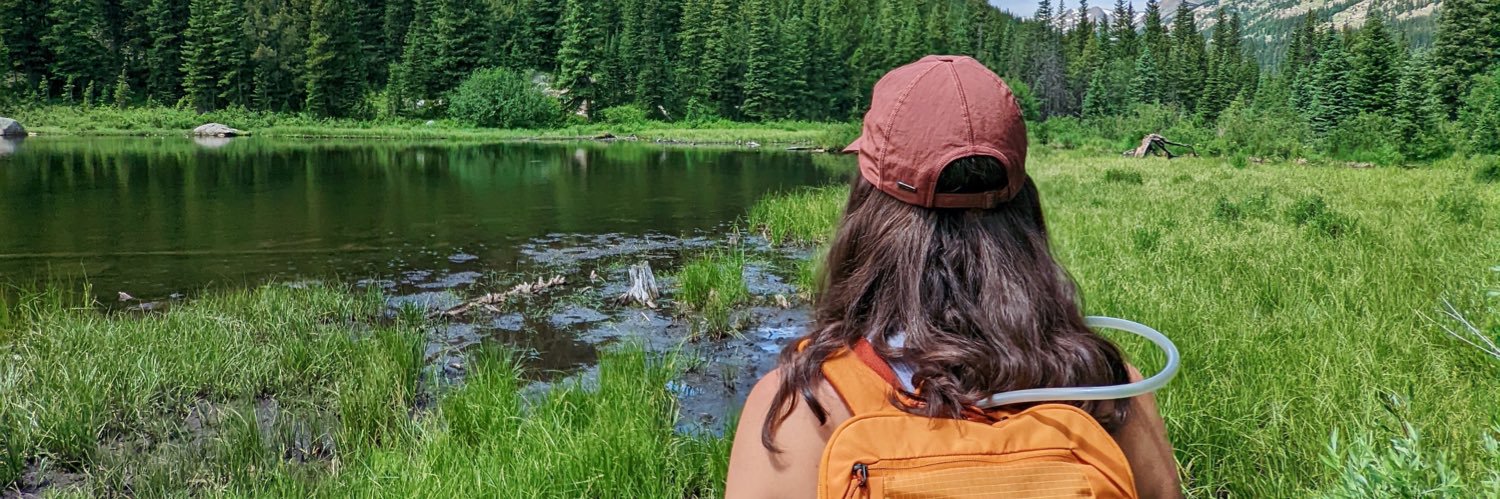 RachelLemme's profile banner image