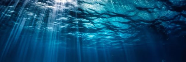 FSCJ Volleyball banner