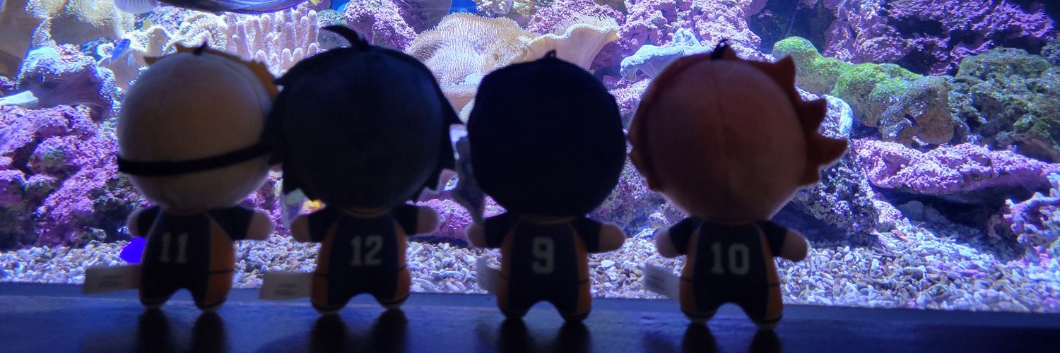 日暮 橙空🍊 banner