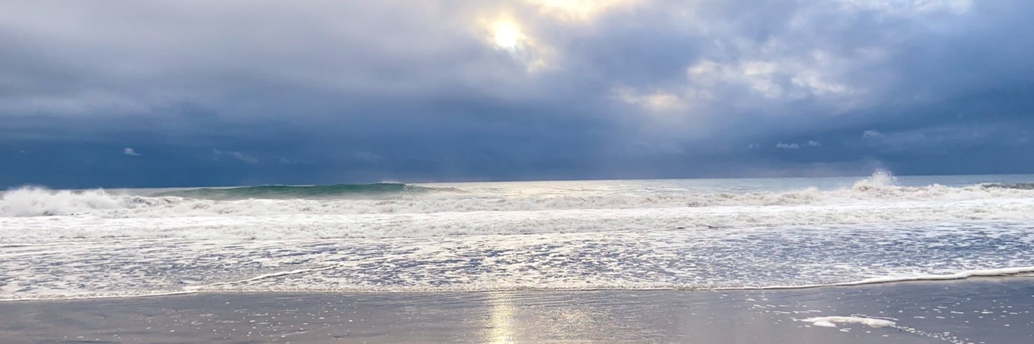 emilypjohnson's profile banner image